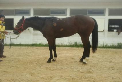 ������è�Ǿ� ����