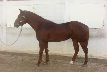 �δ��� ����