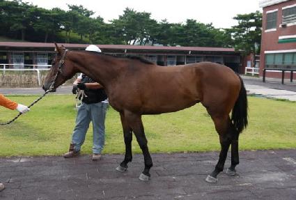 �帲�ַο� ����