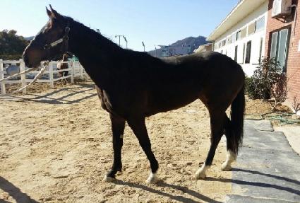 ����õ�� ����