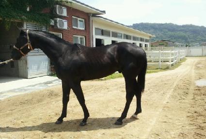 �������� ����