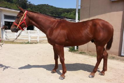 ����Ʈ���� ����