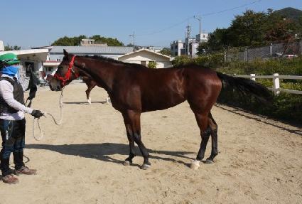 �����ε��� ����