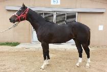 YESURI MYEONGUN picture