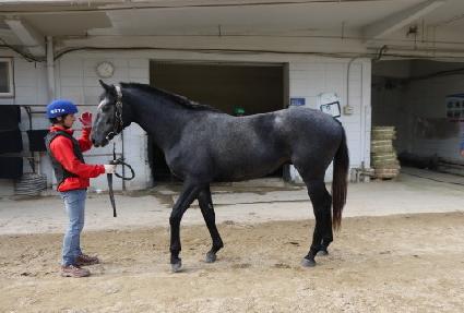 �����÷���Ʈ ����