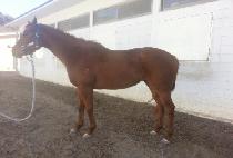 ��ħ���� (ACHIM DONGSAN) ����