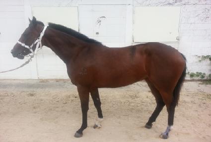 ĳ���а��� ����