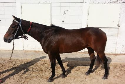 ���ÿ��� ����