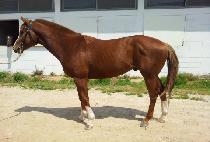 ���̿����� (BIO BLUE) ����