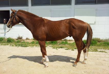 ���̿����� ����