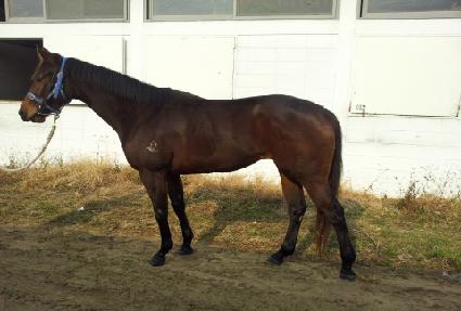 �������� ����