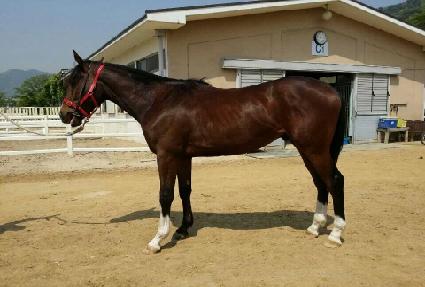 �����Ŀ� ����