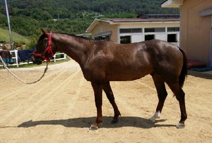 ��¹�½ ����