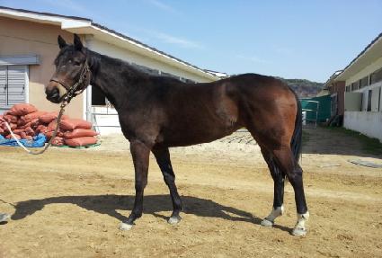 û�۰��� ����