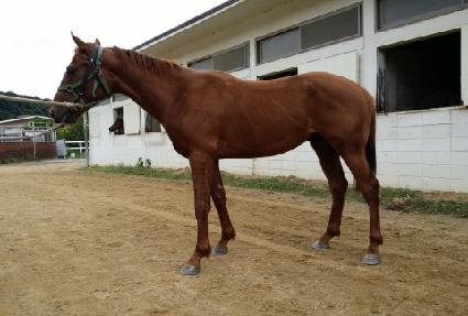 �⸷������ ����