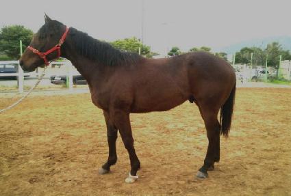 ���Ͽ��̽� ����