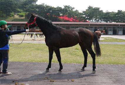 ����������ƾ ����