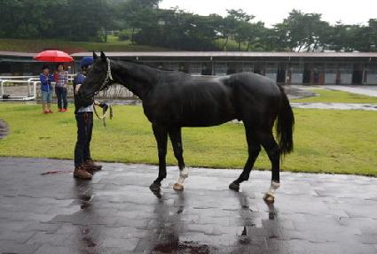 ����Ʈ����Ŀ ����