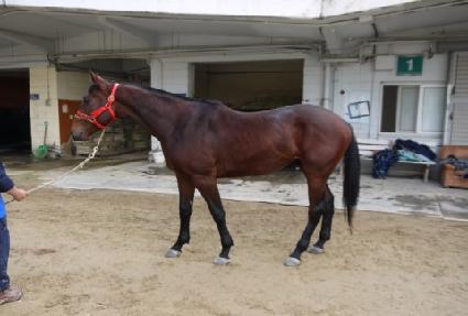 �ָ����� ����