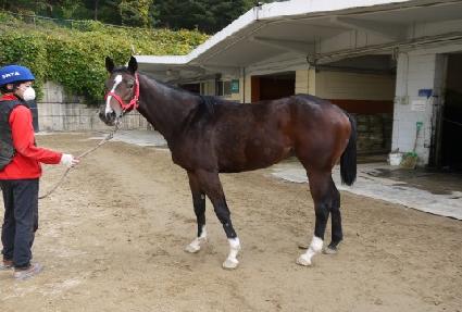 �������� ����