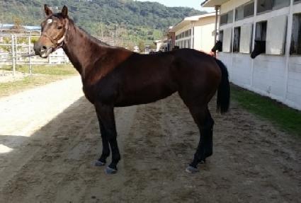 ��ȣ���� ����