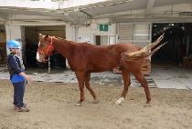 ������ (GANGINHAE) ����