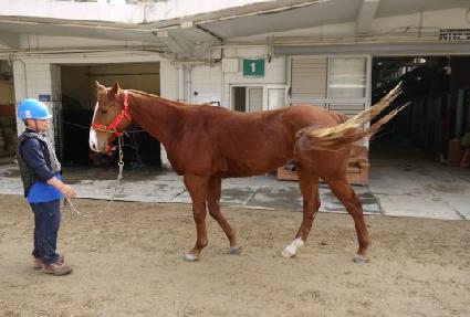 ������ ����