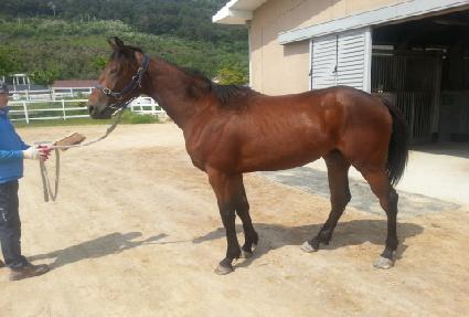 ������ ����