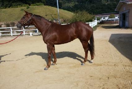 ������Ű ����