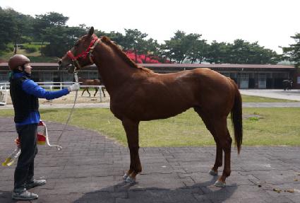 �ź����� ����