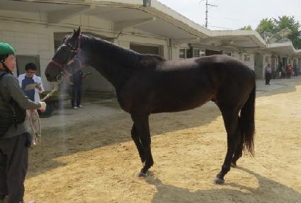 �θ����� ����