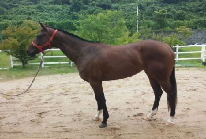 ������Ÿ ����