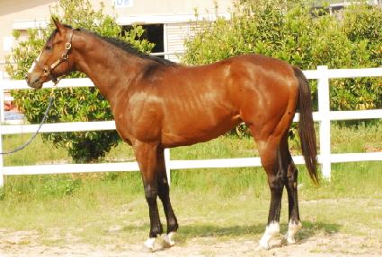 ���Ʈ ����