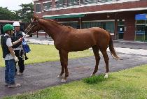 NEOWA GIPPEUMEUL picture