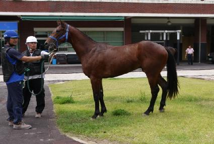 ����Ʈĸƾ ����