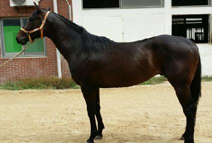 ���޺��� ����