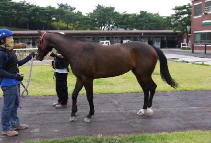 �޴ϸӴ� ����