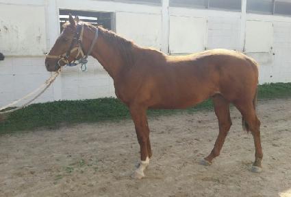 ���׷��̽� ����