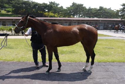 ����Ʈ���� ����