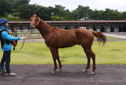 �ð��۷θ� ����