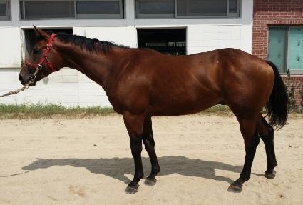 ���̵��θ��� ����