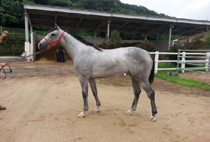 ������ ����