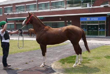 ����¡�� ����