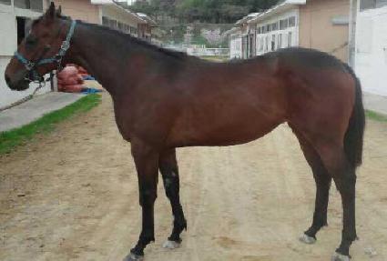 �����Ǹ��� ����