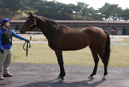 ���氡�� ����