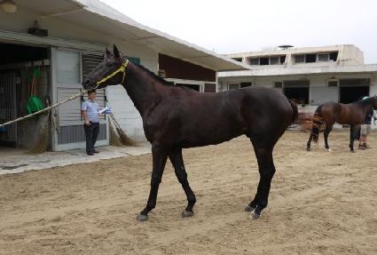 ��º��� ����