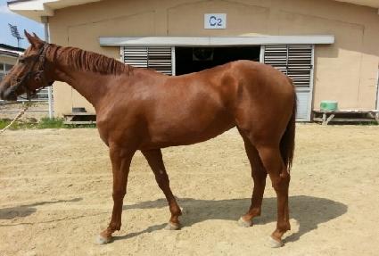 ������ ����