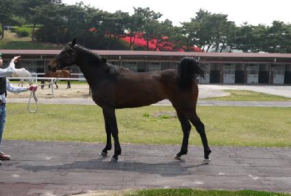 ������ ����