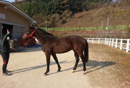 Ž��ȣũ ����