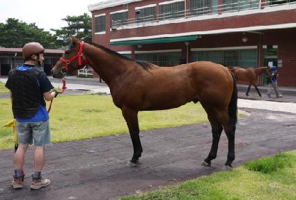 ���ö��� ����